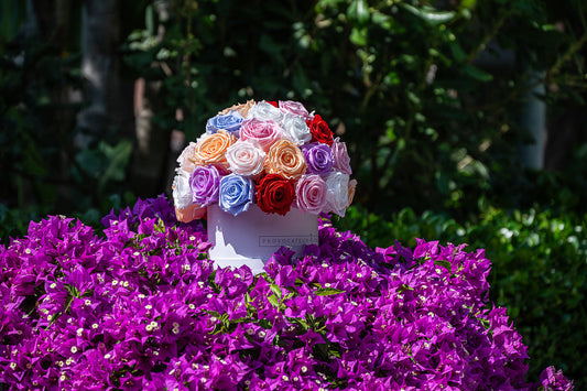 Flores para cada mes del año y su simbolismo