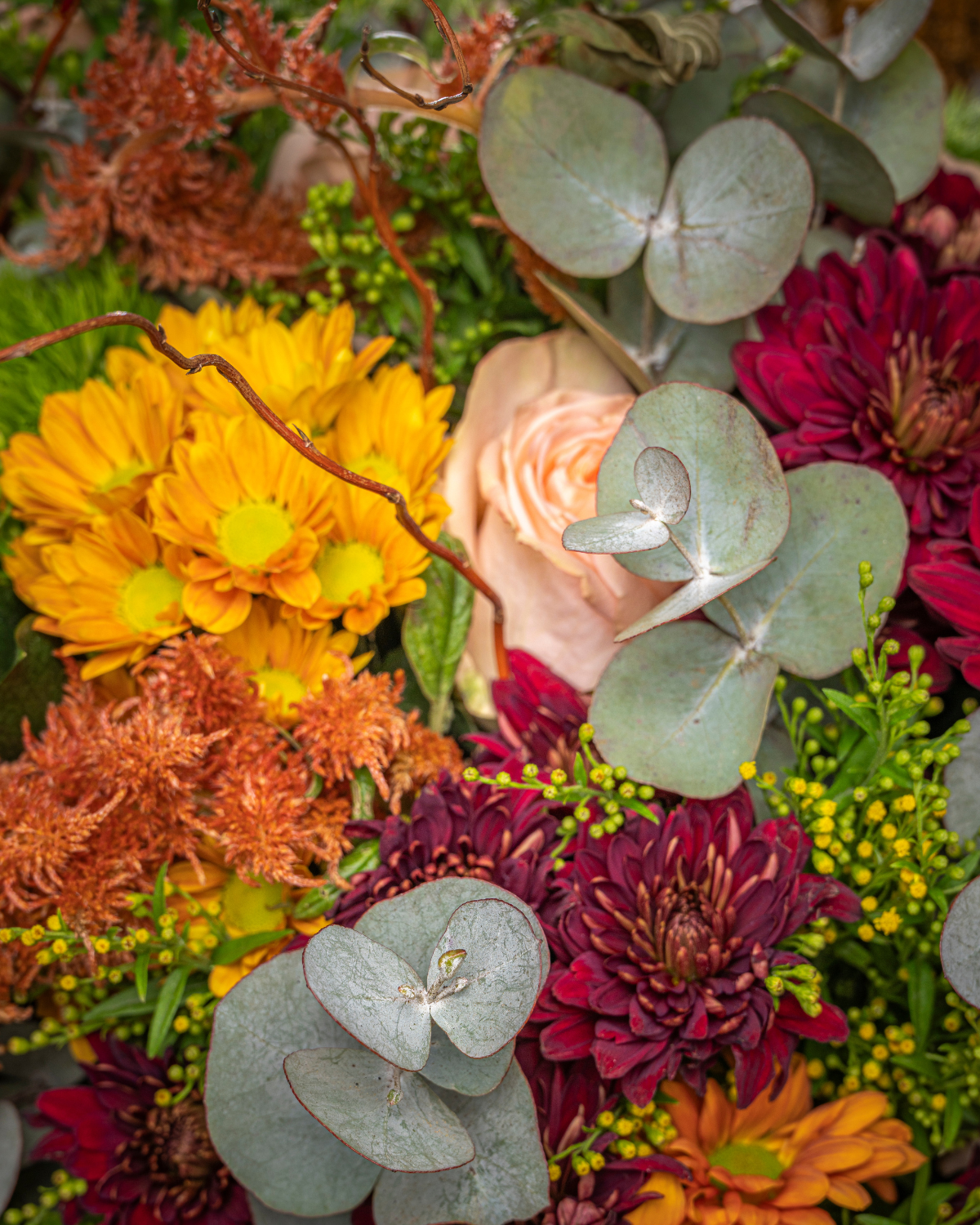 Otoño en Flor