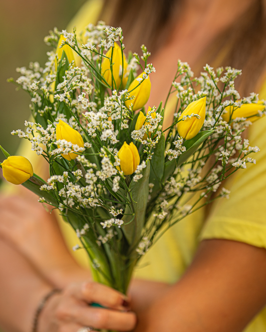 Rayos de Tulipanes