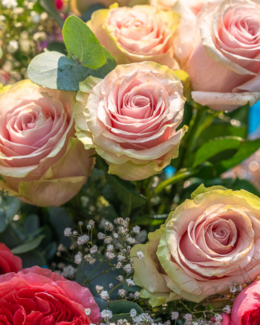 Ramo 6 Rosas Frutteto Variadas