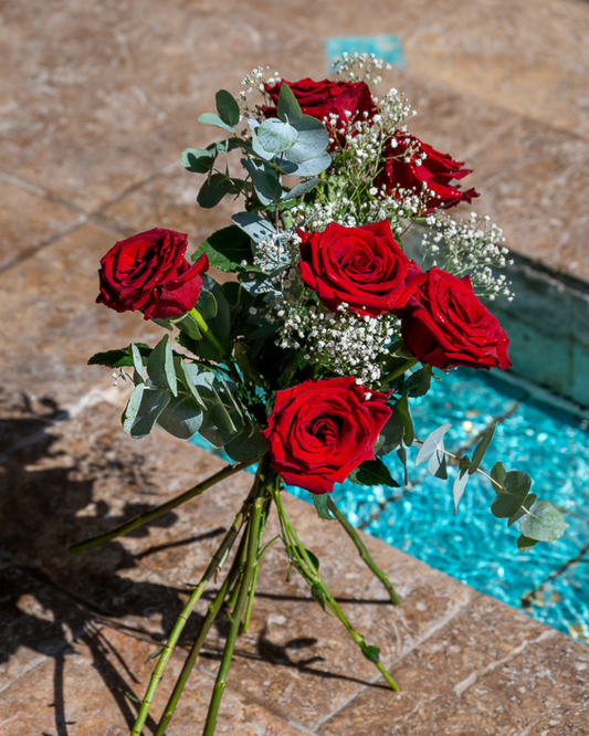 Ramo 6 Rosas Rojas Variadas