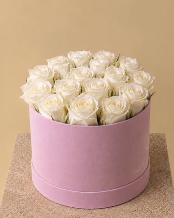 Rosas Blancas Eternas