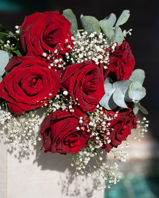 Ramo 6 Rosas Rojas Variadas