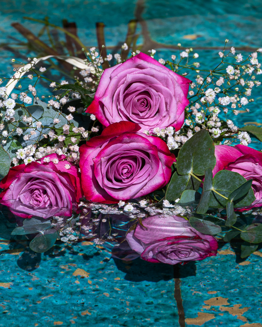 Ramo 6 Rosas Deep Purple Variado