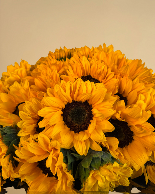 Bouquet 50 Girasoles
