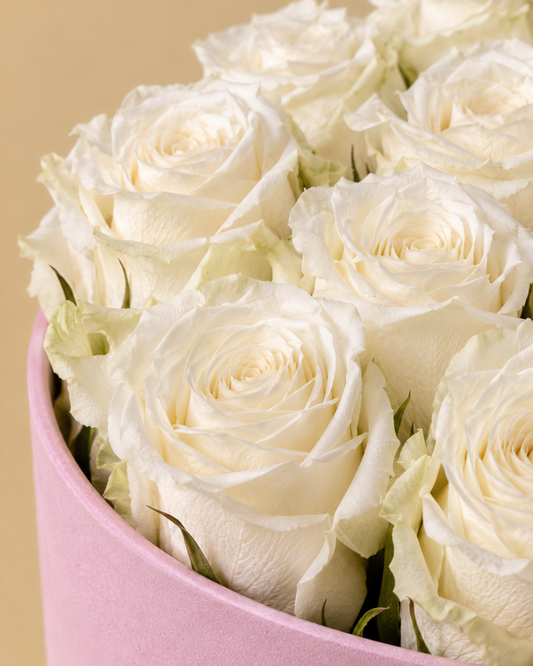 Rosas Blancas Eternas