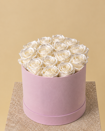Rosas Blanco Perla Eternas