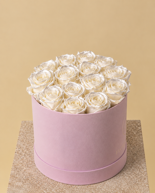 Rosas Blanco Perla Eternas