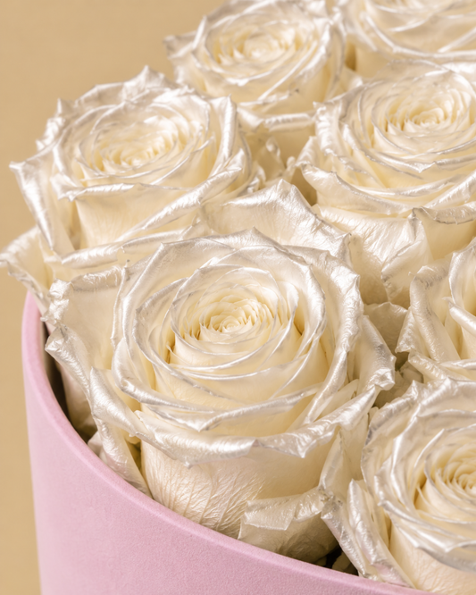 Rosas Blanco Perla Eternas