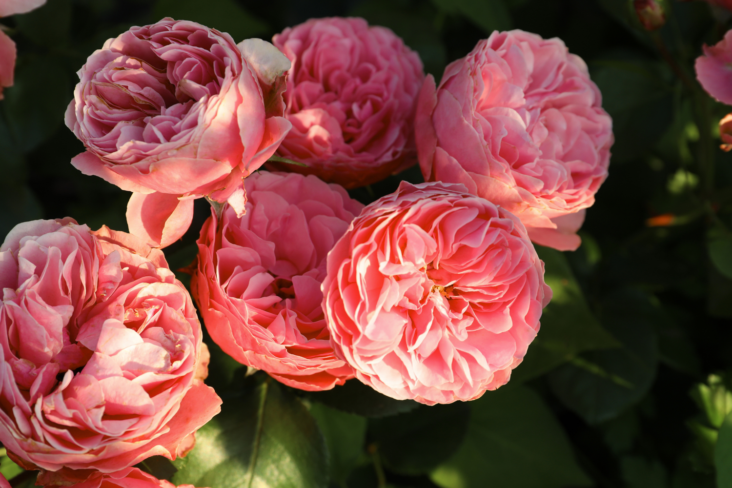 Volumen que acaricia el aire