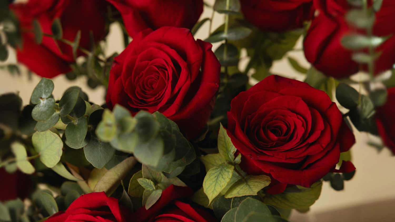 Rosas que Trascienden
