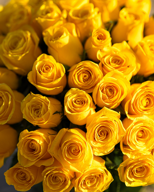 Bouquet 50 Rosas Amarillas