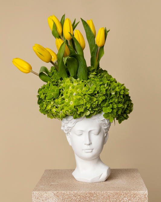 Busto Femminile