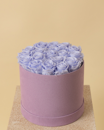 Rosas Lavanda Eternas