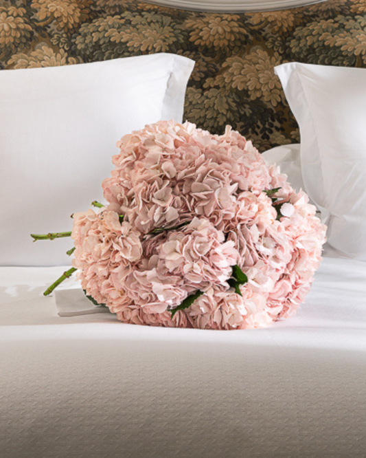 Bouquet 10 Hortensias Rosas