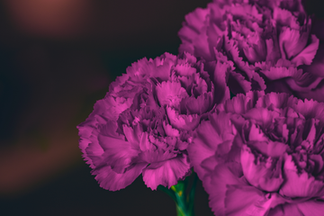 Un Color para la Introspección