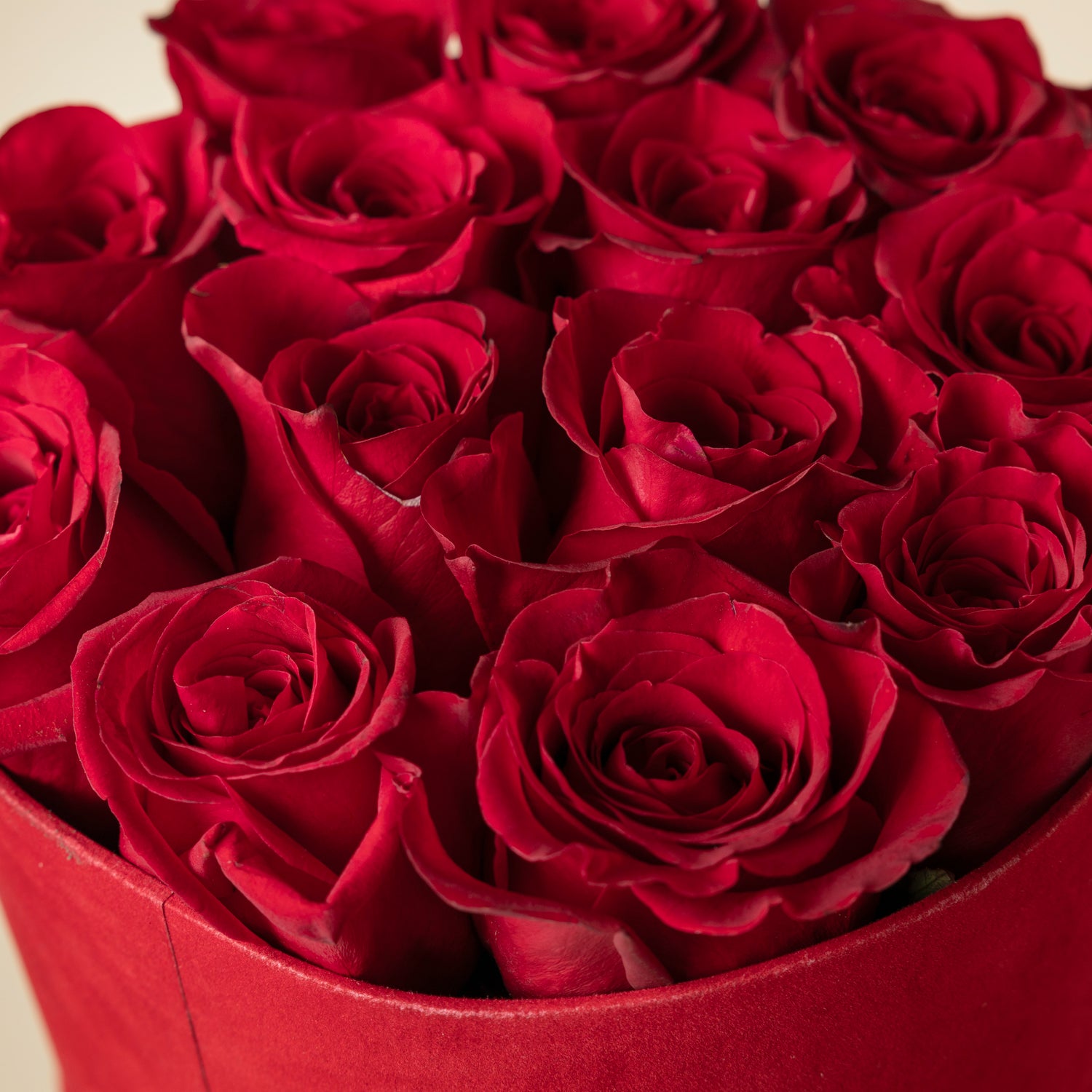 El Regalo Perfecto para tu Amor