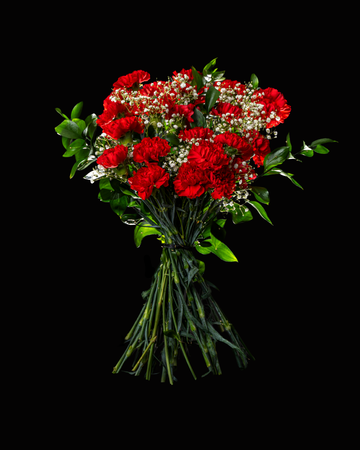 Ramo 24 Claveles Rojos