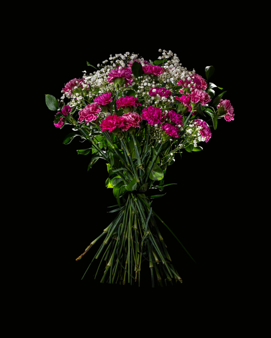 Ramo 24 Claveles Morados