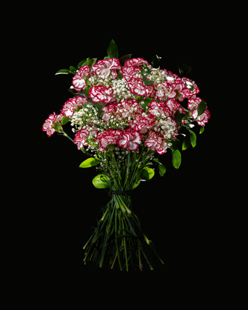 Ramo 24 Claveles Bicolor